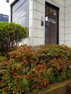b0150120_16264177.jpg