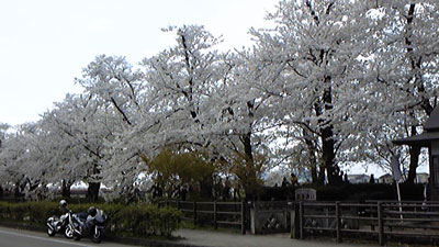 d0018025_223853.jpg
