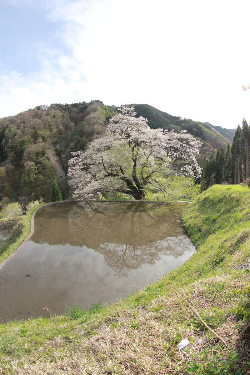 b0222029_21372480.jpg