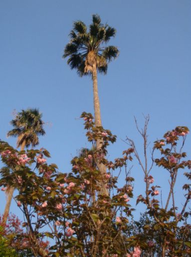 b0012636_13242799.jpg