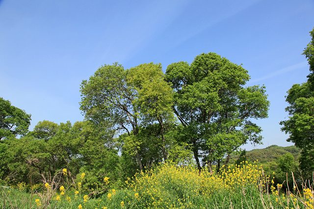 a0242438_19392112.jpg