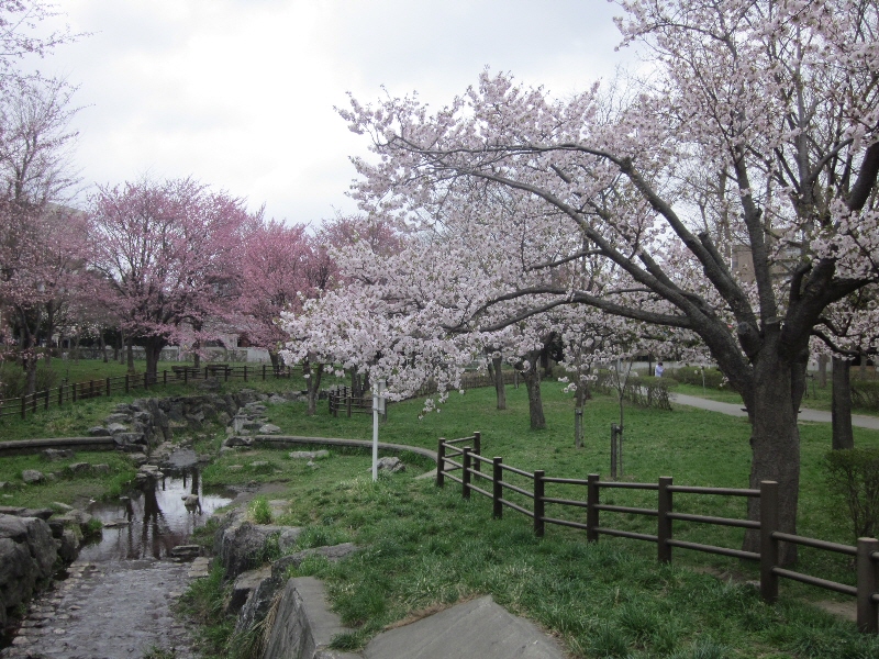 c0234938_0211773.jpg