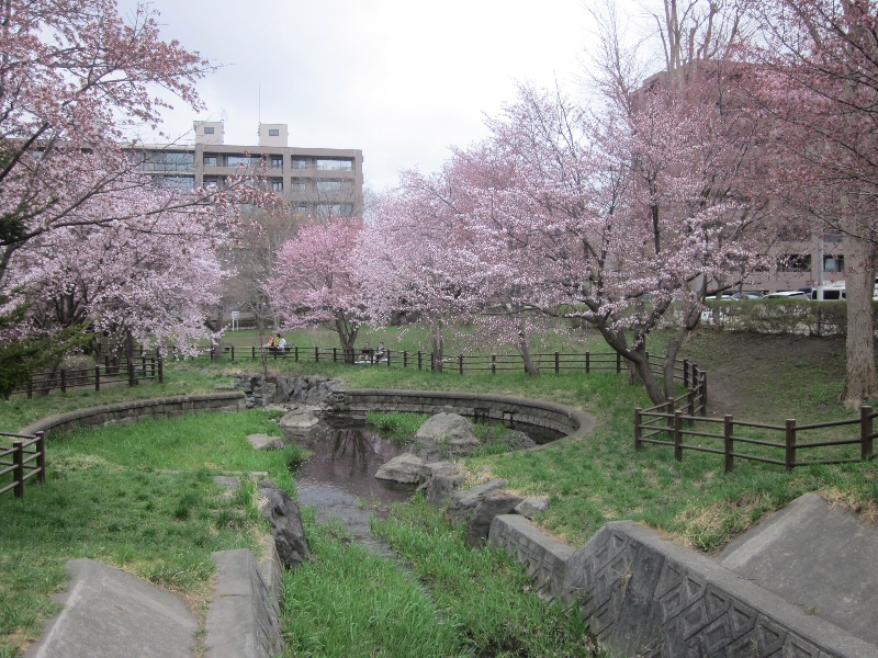 c0234938_02156100.jpg