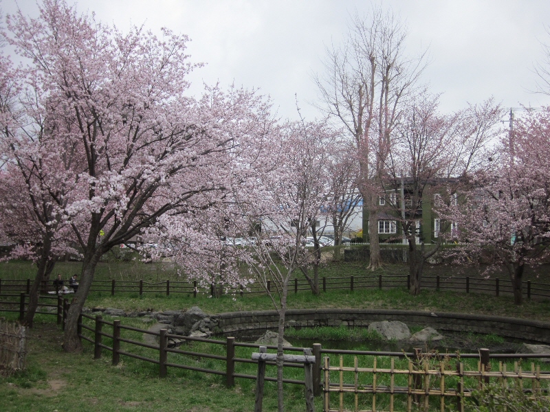 c0234938_0234510.jpg
