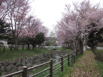c0234938_0271589.jpg