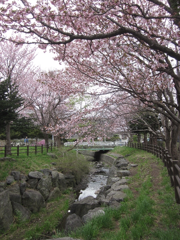 c0234938_0274681.jpg