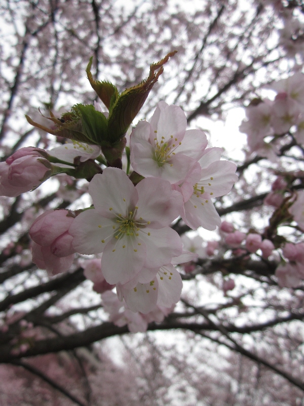 c0234938_03227.jpg