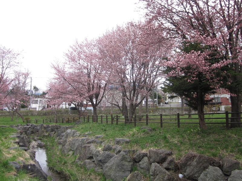 c0234938_0324372.jpg
