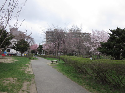 c0234938_0442753.jpg