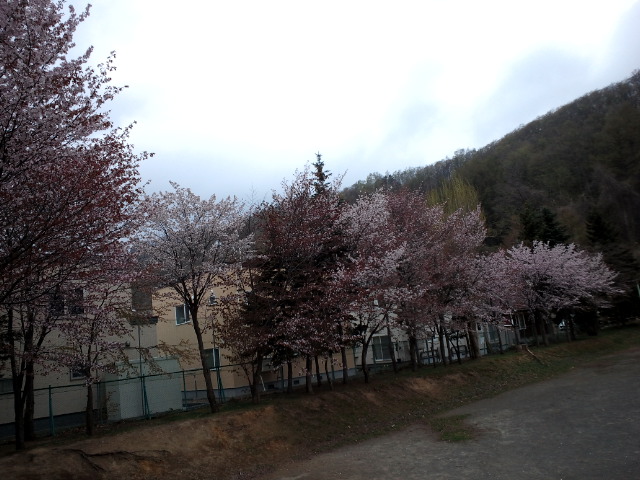 c0117239_6501697.jpg