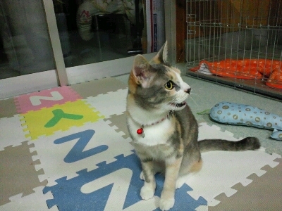 a0193441_23412591.jpg