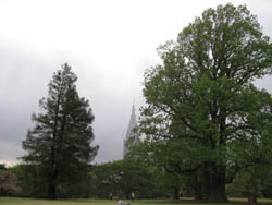 e0181546_166564.jpg