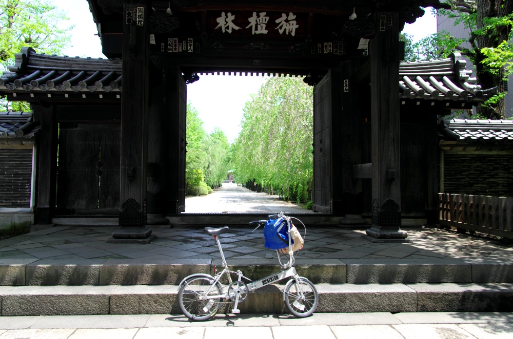 a0014853_2330245.jpg