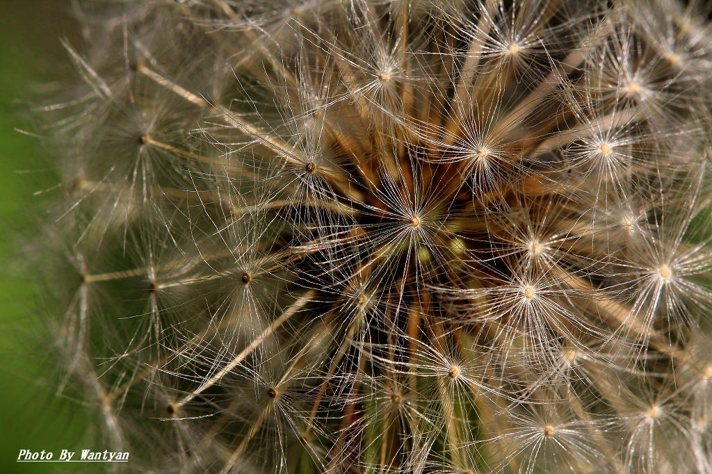 e0229455_2143480.jpg