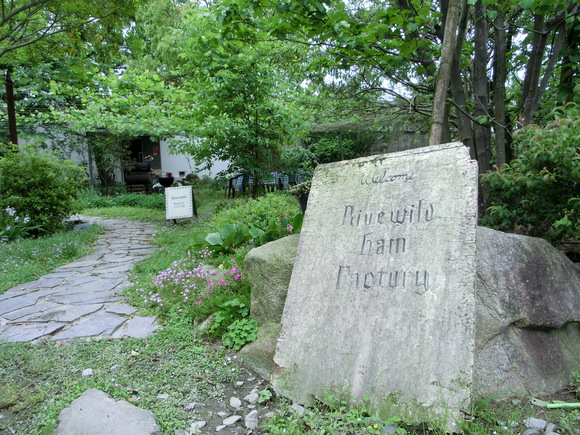 f0201157_22541171.jpg