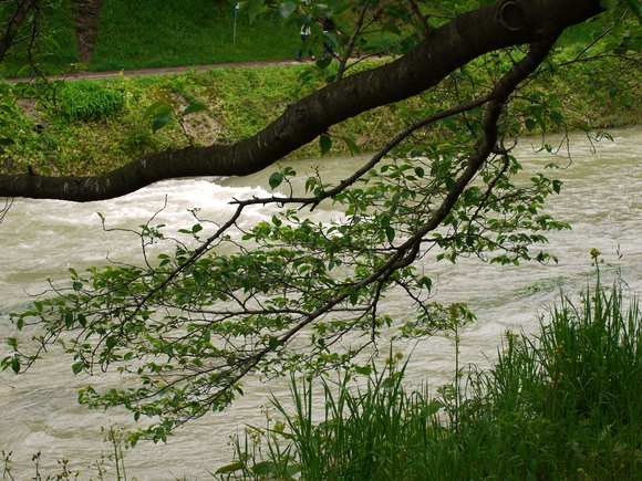 e0066861_1861121.jpg