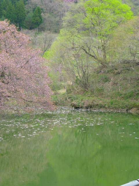 e0170863_947975.jpg