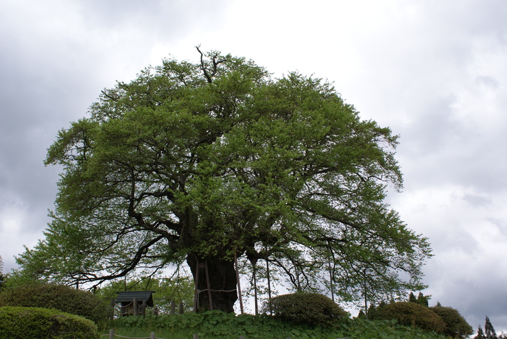 a0091666_10591678.jpg