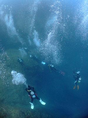 b0033573_21125965.jpg