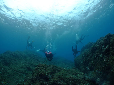 b0033573_21132693.jpg