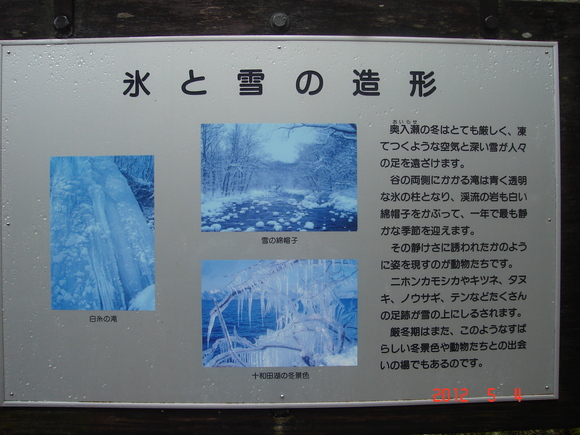 a0188775_946689.jpg