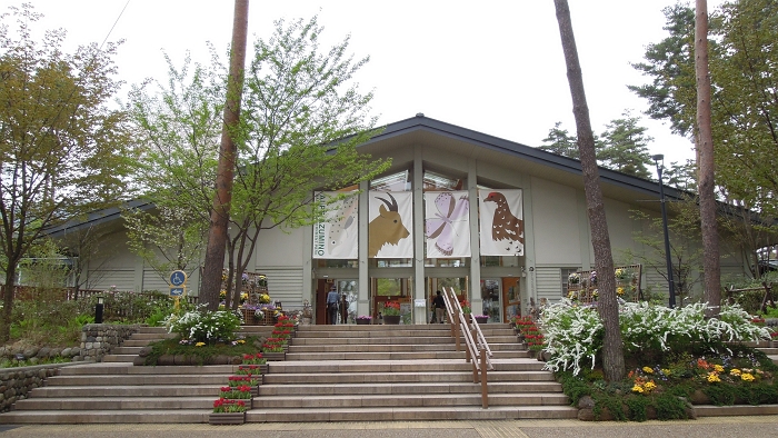 f0115475_110415.jpg