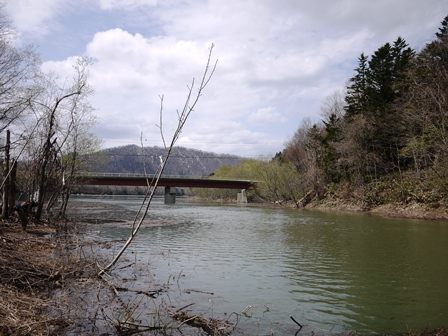 a0250576_2149546.jpg