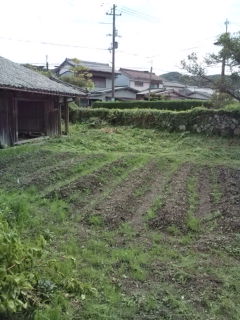 f0054677_6494149.jpg