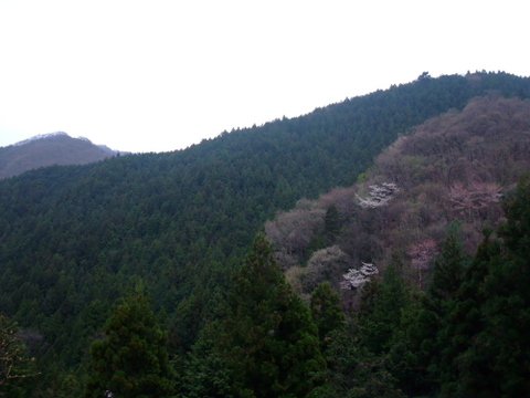 a0043982_2110719.jpg