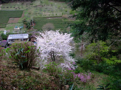 a0043982_2142366.jpg
