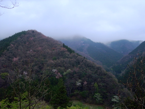 a0043982_2195958.jpg