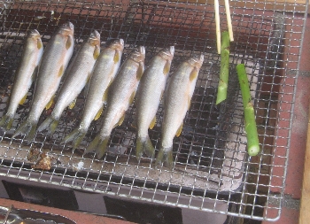 f0003283_8151618.jpg