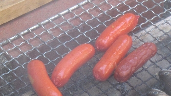 f0003283_8155825.jpg