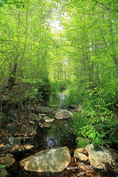 e0148185_10435833.jpg