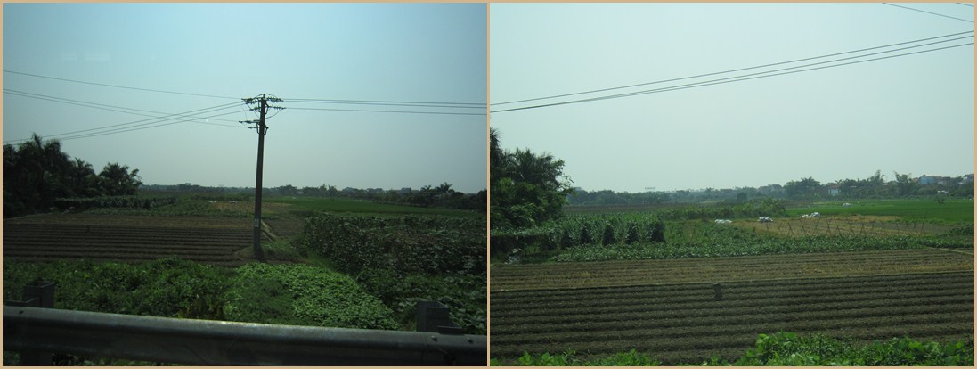 a0149488_1033154.jpg