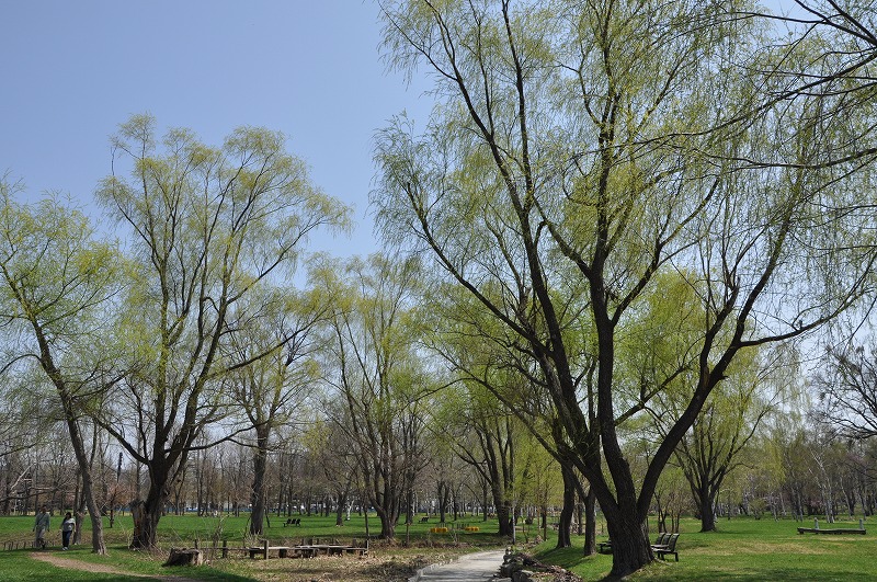 c0240388_11145342.jpg