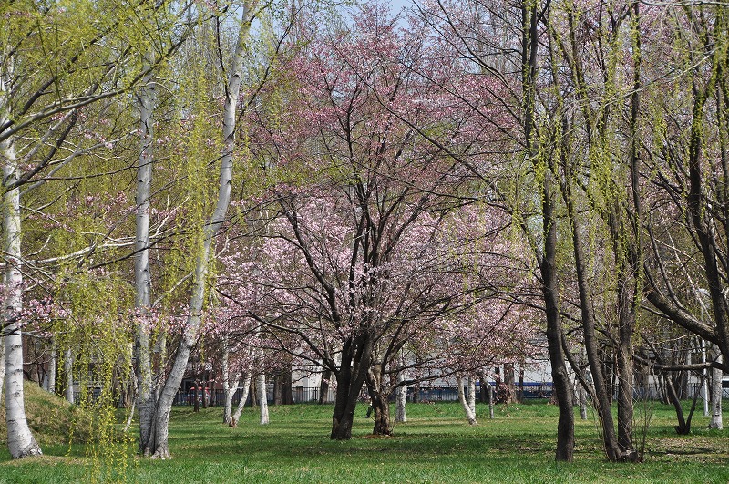 c0240388_11154113.jpg