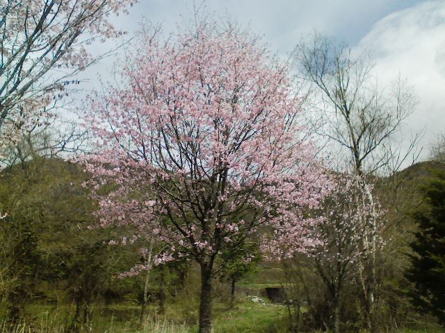 d0140490_13434568.jpg