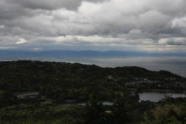 f0128096_2002916.gif
