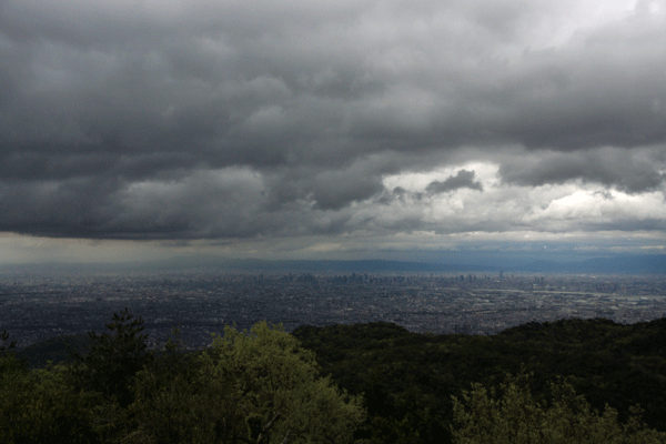 f0128096_200693.gif