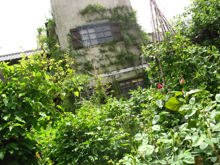 f0178897_20102034.jpg