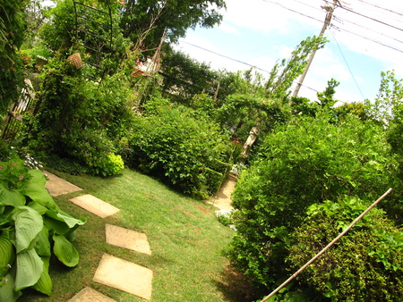 f0178897_2012479.jpg