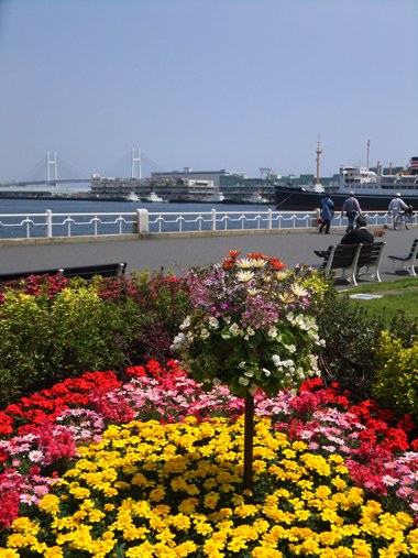 c0184800_10562254.jpg