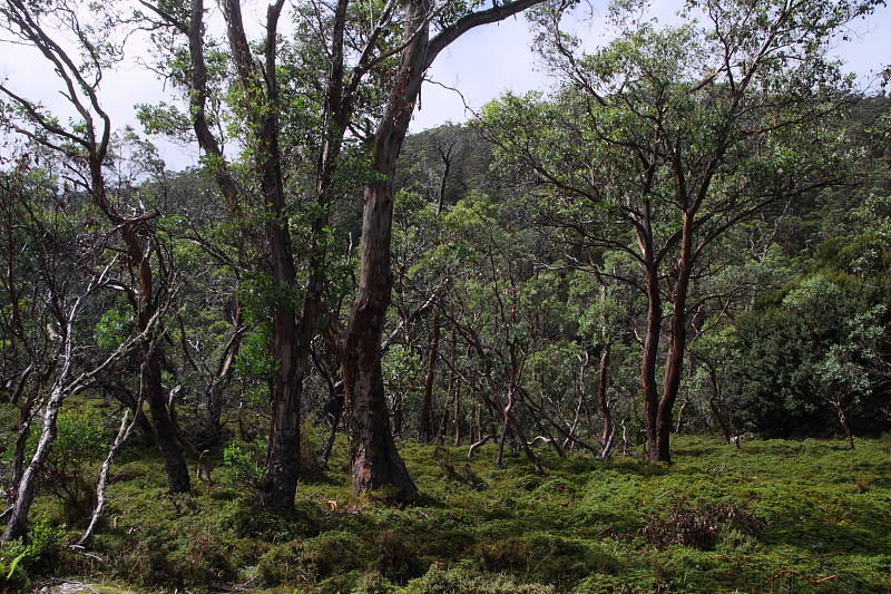 c0248100_1647749.jpg