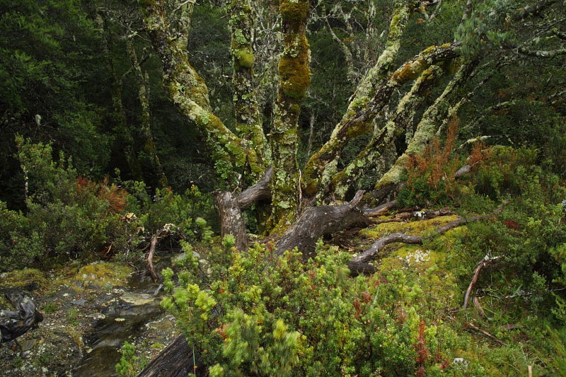 c0248100_16541094.jpg