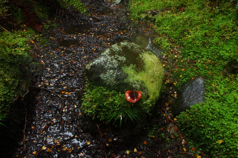 c0248100_16565170.jpg