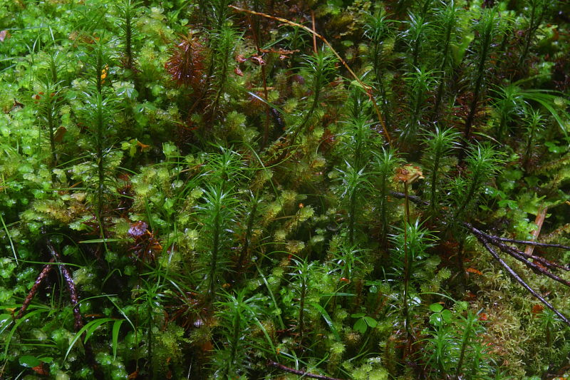 c0248100_16575025.jpg