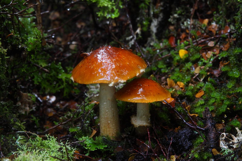 c0248100_1721321.jpg