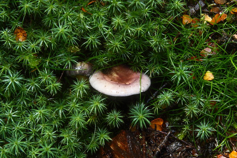 c0248100_1723554.jpg