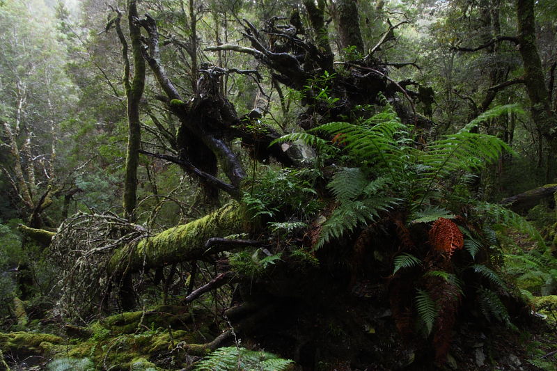 c0248100_1734022.jpg
